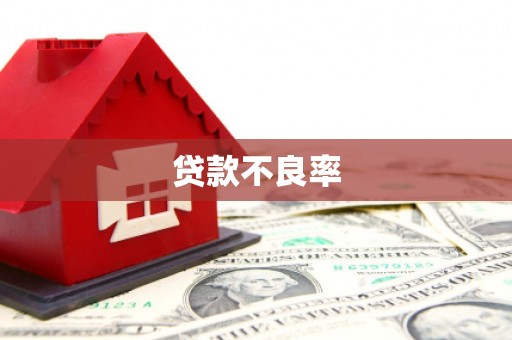 宁安贷款不良率