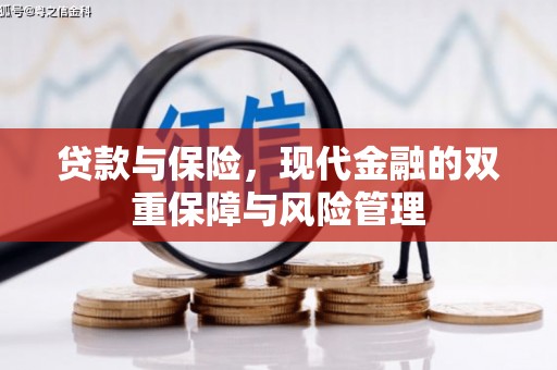 宁安贷款与保险，现代金融的双重保障与风险管理