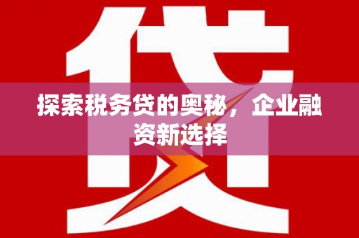 宁安探索税务贷的奥秘，企业融资新选择