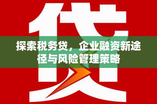 宁安探索税务贷，企业融资新途径与风险管理策略