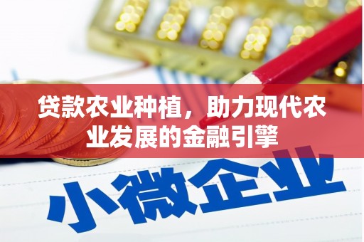 宁安贷款农业种植，助力现代农业发展的金融引擎