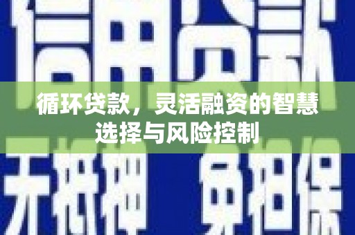 宁安循环贷款，灵活融资的智慧选择与风险控制