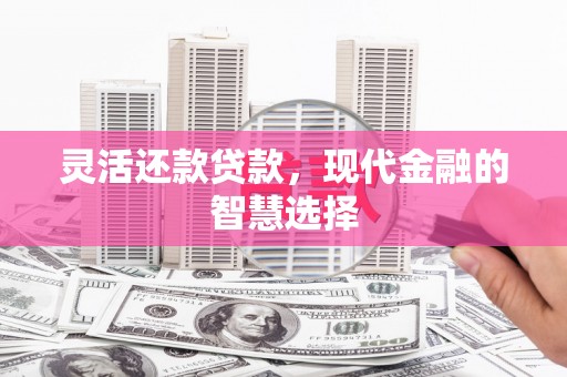 宁安灵活还款贷款，现代金融的智慧选择