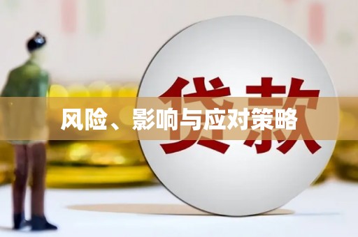 宁安风险、影响与应对策略