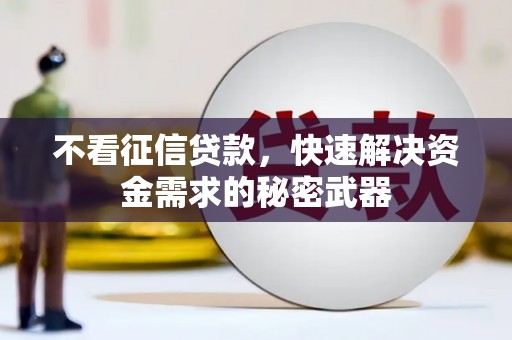 宁安不看征信贷款，快速解决资金需求的秘密武器