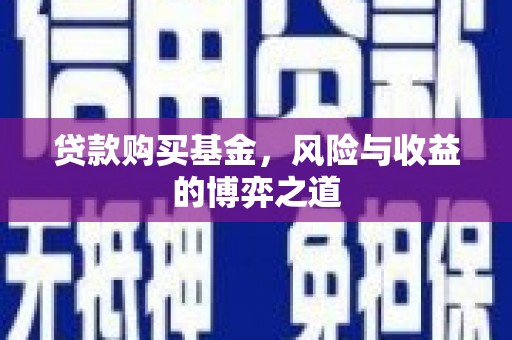 宁安贷款购买基金，风险与收益的博弈之道