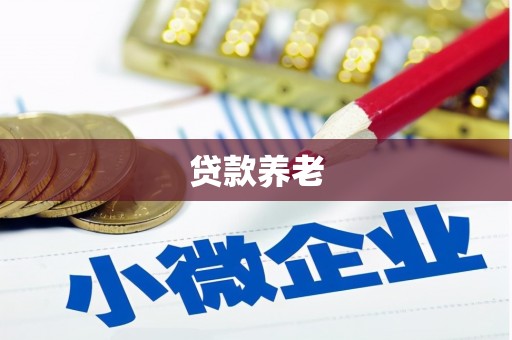 宁安贷款养老