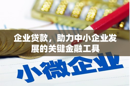 宁安企业贷款，助力中小企业发展的关键金融工具
