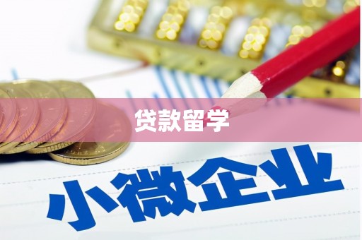 宁安贷款留学