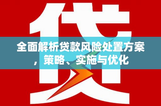 宁安全面解析贷款风险处置方案，策略、实施与优化