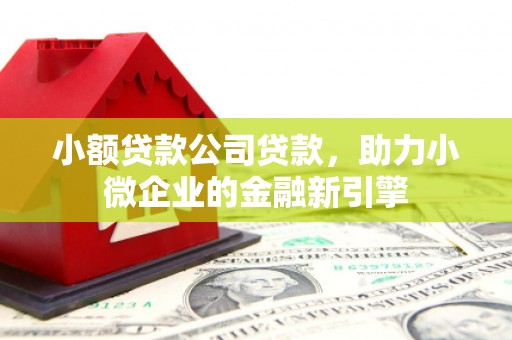 宁安小额贷款公司贷款，助力小微企业的金融新引擎