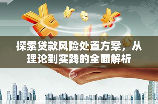 宁安探索贷款风险处置方案，从理论到实践的全面解析