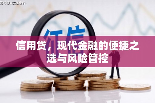 宁安信用贷，现代金融的便捷之选与风险管控