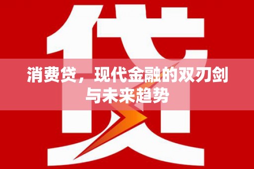 宁安消费贷，现代金融的双刃剑与未来趋势