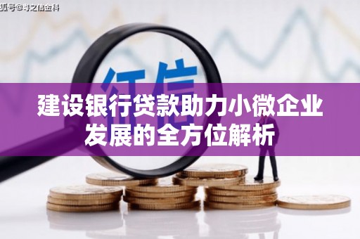 宁安建设银行贷款助力小微企业发展的全方位解析