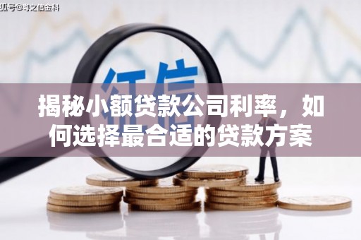 宁安揭秘小额贷款公司利率，如何选择最合适的贷款方案