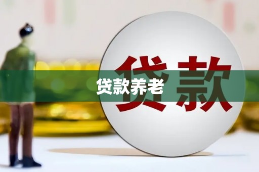 宁安贷款养老