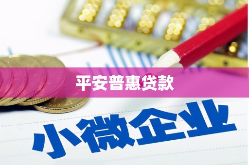宁安平安普惠贷款