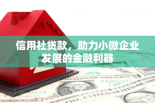 宁安信用社贷款，助力小微企业发展的金融利器