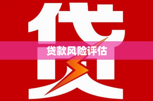 宁安贷款风险评估