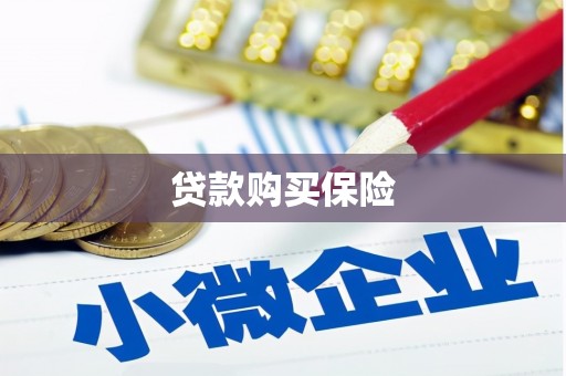 宁安贷款购买保险