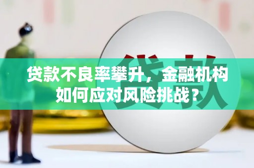 宁安贷款不良率攀升，金融机构如何应对风险挑战？