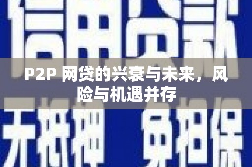 宁安P2P 网贷的兴衰与未来，风险与机遇并存