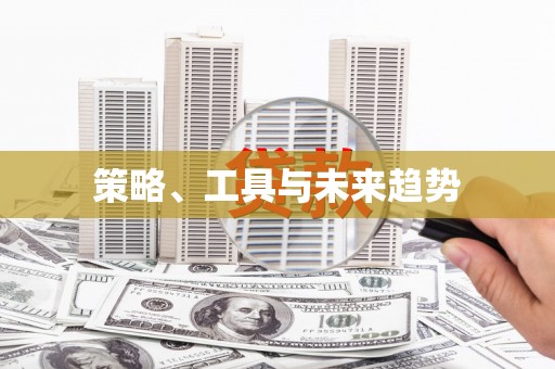 宁安策略、工具与未来趋势
