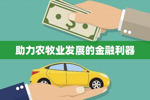 宁安助力农牧业发展的金融利器