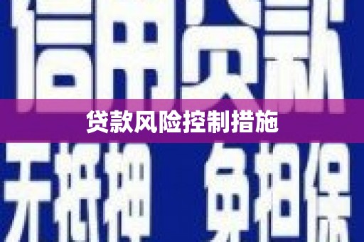 宁安贷款风险控制措施